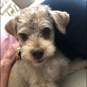 Meet your Posher, Corrine